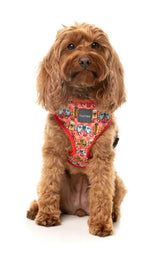 The Homies - Dog Harness